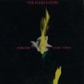 Buy The Flesh Eaters - Forever Came Today (Vinyl) Mp3 Download