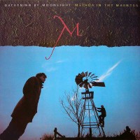 Purchase Gardening By Moonlight - Method In The Madness (Vinyl)