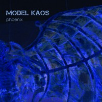 Purchase Model Kaos - Phoenix