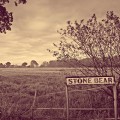 Buy Stone Bear - Stone Bear Mp3 Download