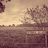 Purchase Stone Bear - Stone Bear