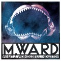 Buy M. Ward - What A Wonderful Industry Mp3 Download