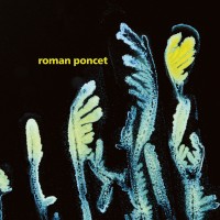 Purchase Roman Poncet - Gypsophila