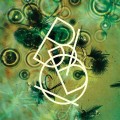 Buy Bibio - The Green (EP) Mp3 Download