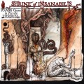 Buy Shrine Of Insanabilis - Tombs Opened By Fervent Tongues... Earth's Final Necropolis (EP) Mp3 Download