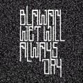 Buy Blawan - Wet Will Always Dry Mp3 Download