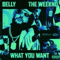 Buy Belly - What You Want (Feat. The Weeknd) (CDS) Mp3 Download