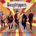 Buy Dangtrippers - Days Between Stations Mp3 Download