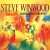 Buy Steve Winwood - The Island Years 1977-1986 CD3 Mp3 Download
