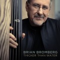 Buy Brian Bromberg - Thicker Than Water Mp3 Download