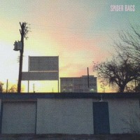 Purchase Spider Bags - Someday Everything Will Be Fine