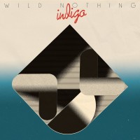 Purchase Wild Nothing - Indigo