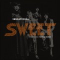 Buy The Sweet - Sensational Sweet Chapter One- The Wild Bunch CD1 Mp3 Download