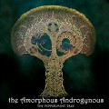 Buy Amorphous Androgynous - The Peppermint Tree & The Seeds Of Superconsciousness Mp3 Download