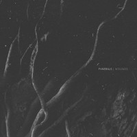 Purchase Fvnerals - Wounds