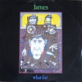 Buy James - What For (VLS) Mp3 Download