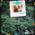 Buy Jeremy Steig - Rain Forest (With Eddie Gomez) (Vinyl) Mp3 Download