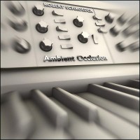 Purchase Robert Schroeder - Ambient Occlusion