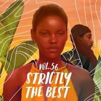 Purchase VA - Strictly The Best Vol. 56