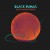 Buy Black Pumas - Black Moon Rising (CDS) Mp3 Download
