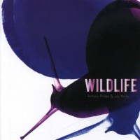 Purchase Anthony Phillips - Wildlife