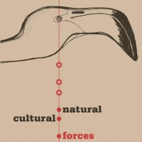 Purchase Warren Smith (Jazz) - Natural & Cultural Forces