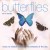 Buy Kevin Kendle - Butterflies Mp3 Download