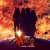 Buy Vixen - Live Fire Mp3 Download