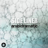 Purchase Side Liner - Ambidramatic
