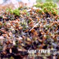 Buy Side Liner - Ambienthology Mp3 Download
