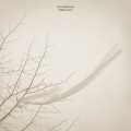 Buy Sven Weisemann - Falling Leaves Mp3 Download