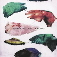 Purchase Tornado Wallace - Circadia