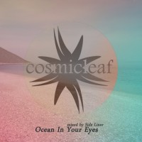 Purchase Side Liner - Ocean In Your Eyes