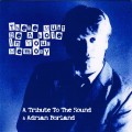 Buy VA - There Must Be A Hole In Your Memory: A Tribute To The Sound & Adrian Borland Mp3 Download