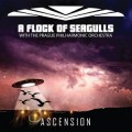 Buy A Flock Of Seagulls - Ascension Mp3 Download
