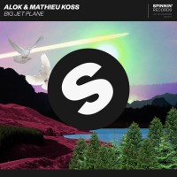 Purchase Alok & Mathieu Koss - Big Jet Plane (CDS)