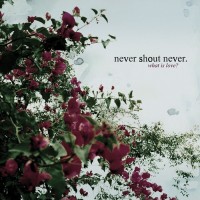 Purchase Never Shout Never - What Is Love?