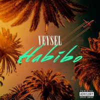 Purchase Veysel - Habibo (CDS)