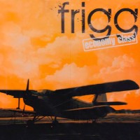 Purchase Frigg - Economy Class