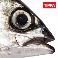 Purchase TIPPA - Roska Silmäs (Feat. JVG) (CDS)