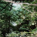 Buy Cave - Hunt Like Devil / Jamz Mp3 Download