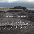 Buy Lost World - Of Things And Beings Mp3 Download