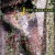 Buy Jeff Greinke - Lost Terrain Mp3 Download