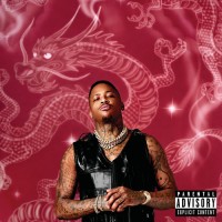 Purchase Yg - Stay Dangerous