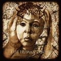 Buy Suicidal Causticity - The Human Touch Mp3 Download