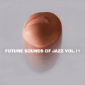 Buy VA - Future Sounds Of Jazz Vol. 11 Mp3 Download