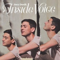 Purchase Joey Dosik - Inside Voice