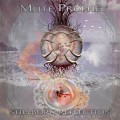 Buy Mute Prophet - Stillborn Reflection Mp3 Download