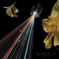 Purchase Miracle - The Strife Of Love In A Dream