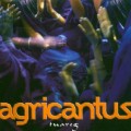 Buy Agricantus - Tuareg Mp3 Download
